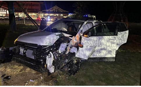 實(shí)習(xí)期司機(jī)油門(mén)當(dāng)剎車(chē)撞上樹(shù)，氣囊全彈！