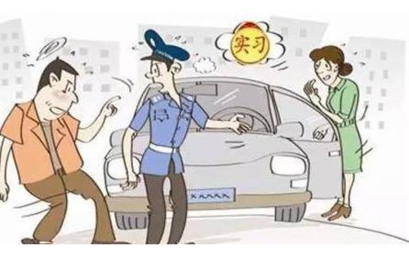 新手高速發(fā)生事故 這些情況下陪駕人員也擔(dān)責(zé)