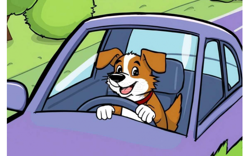 駕校沒教的10個(gè)開車技巧 新手學(xué)會(huì)少走3年彎路